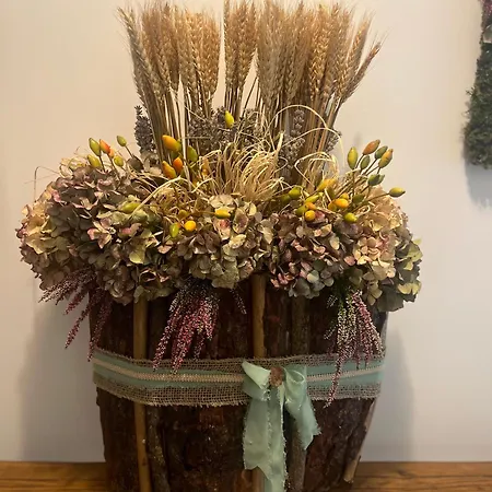 ベッド・アンド・ブレックファスト A Casa De Nono