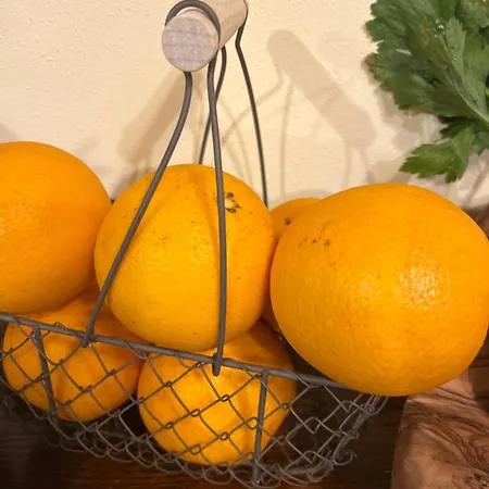 ベッド・アンド・ブレックファスト A Casa De Nono