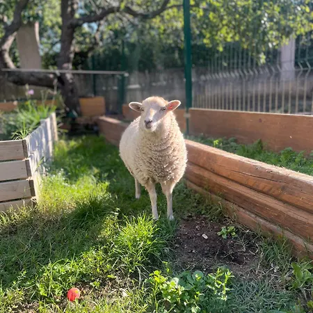A Casa De Nono 3* San Dorligo della Valle